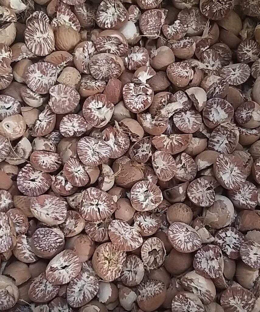 Pinang Belah / Klotok Super