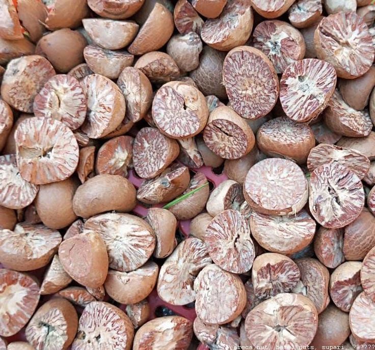 Daerah Penghasil Buah Pinang Terbesar di Indonesia