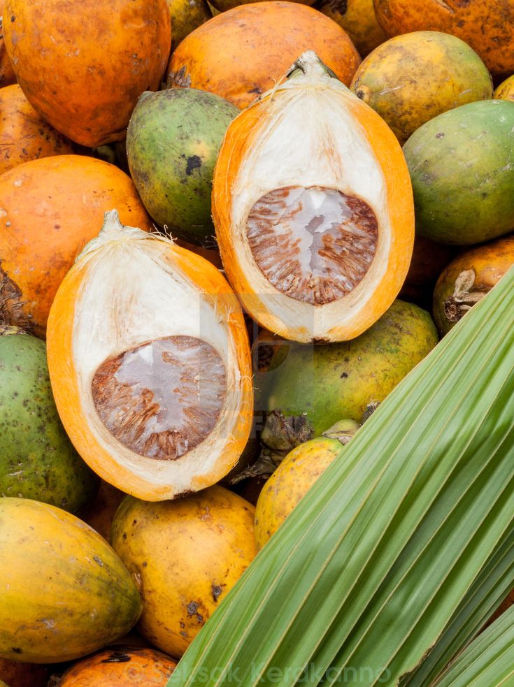 Pemanfaatan Limbah Buah Pinang Sebagai Bahan Baku Produk Ramah Lingkungan