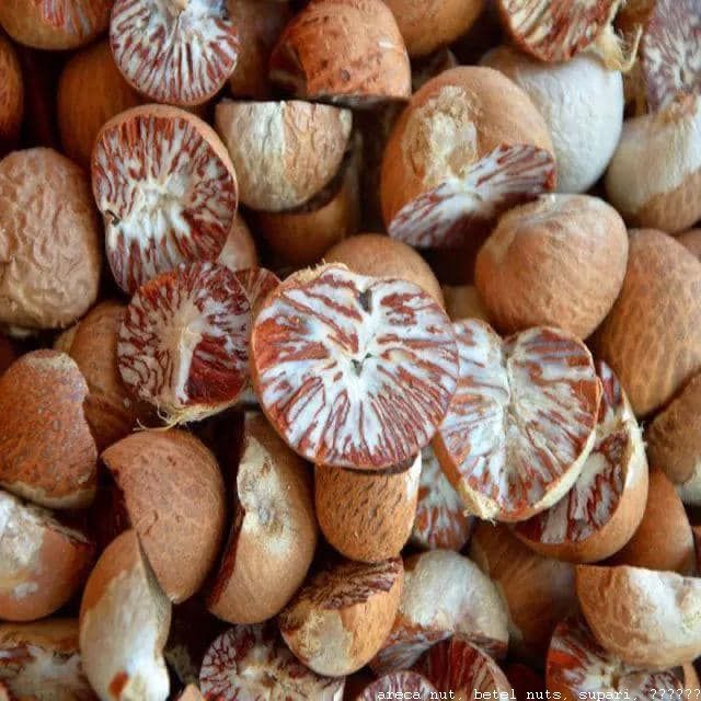 Kelebihan Pinang Belah dari Agro Bumi Sumatera